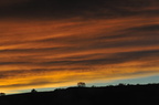 DSC 50636
