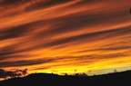 DSC 50646