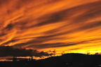 DSC 50653