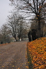DSC 81256