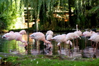 zoo amneville 03.10.2010 258
