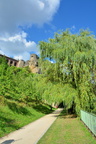 DSC 2790