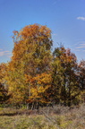 F-JVA 5940 1 2 fused