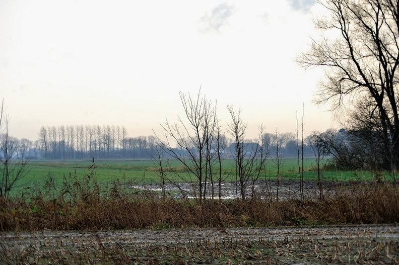 K-JVA_8060.jpg