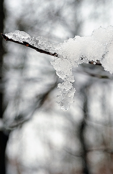 hiver-JVA_5173.jpg