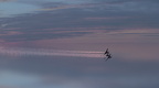 Z07 5377 DxO