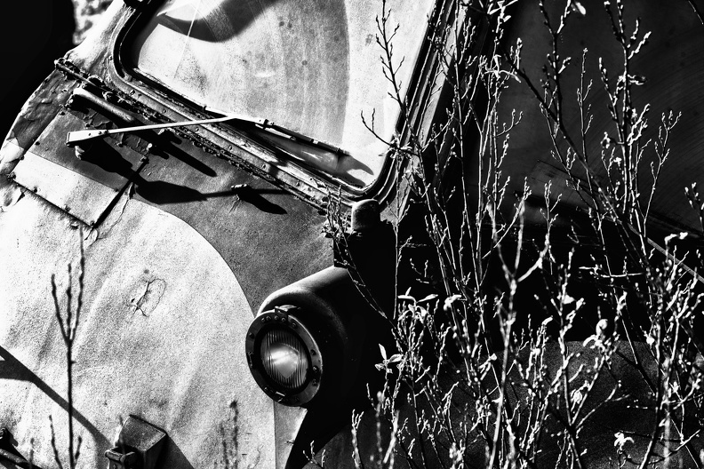 Z07 6928 Nik DxO - Z07_6928_Nik_DxO.jpg Z07_6928_Nik_DxO.jpg