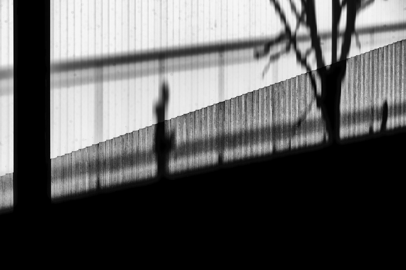 Z07 6937 Nik DxO - Z07_6937_Nik_DxO.jpg Z07_6937_Nik_DxO.jpg