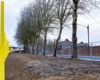 Z07 6767 Nik DxO