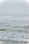 Z07 1466 DxO