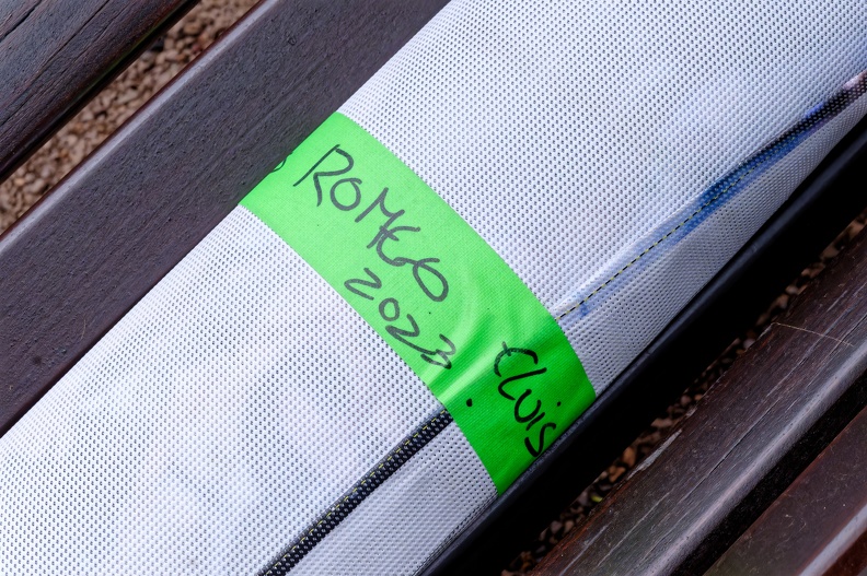 Z07_0927_DxO.jpeg