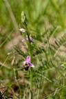 Z07 6210 DxO