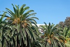 20240911 Cagnes sur Mer