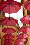 20240917 Grasse