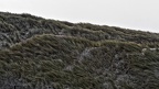 DSC 5936 DxO