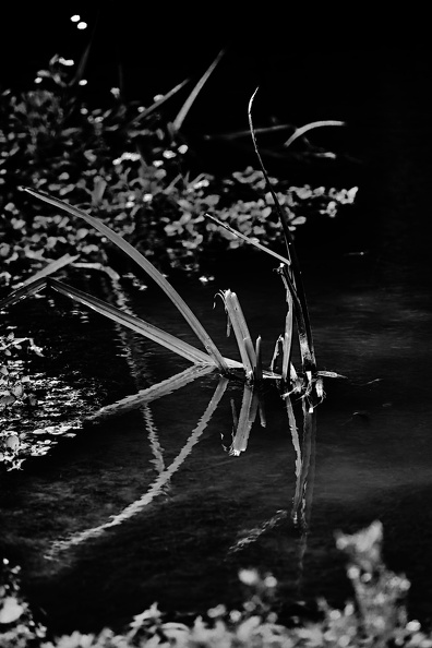 DSC_2286_DxO.jpg