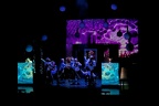 DSC 5193 DxO
